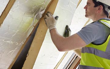 Queen Dart loft insulation